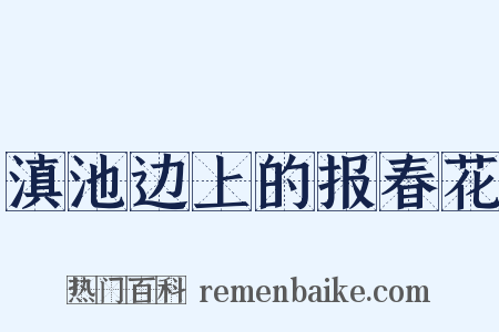 滇池边上的报春花是什么意思的图片